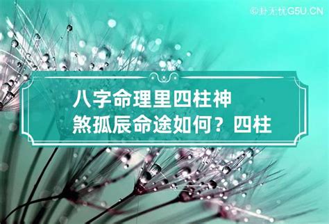 神煞 孤辰|浅解八字的孤辰寡宿